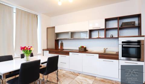 3 szobás lakás, Landererova, kiadó, Bratislava - Staré Mesto, Szlováki