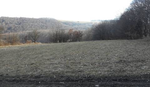 Mezőgazdasági és erdei telkek, Nová Bošáca, eladó, Nové Mesto nad Váho