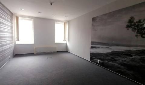 Kiadó Irodahelység, Irodahelység, Gorkého, Bratislava - Staré Mesto, S
