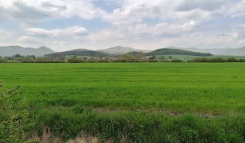 Eladó Mezőgazdasági és erdei telkek, Mezőgazdasági és erdei telkek, Le