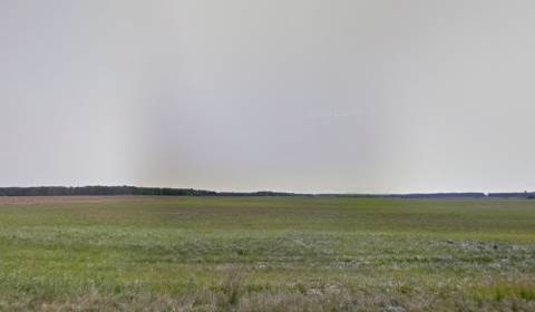 Mezőgazdasági és erdei telkek, eladó, Senica, Szlovákia