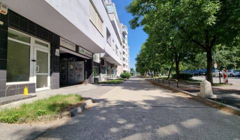 Üzlethelység, Tomášikova, kiadó, Bratislava - Ružinov, Szlovákia