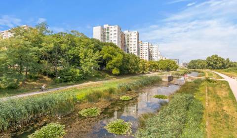 3 szobás lakás, Ševčenkova, eladó, Bratislava - Petržalka, Szlovákia