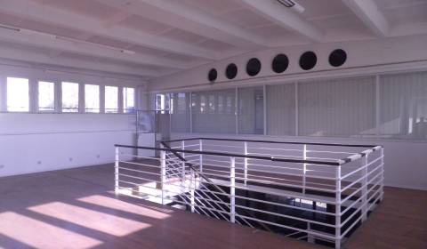 Kiadó Üzlethelység, Üzlethelység, Račianska ul., Bratislava - Rača, Sz