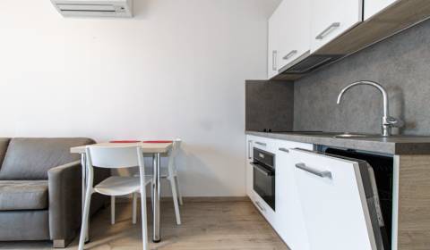 Kiadó 1 szobás lakás, 1 szobás lakás, Panenská, Bratislava - Staré Mes