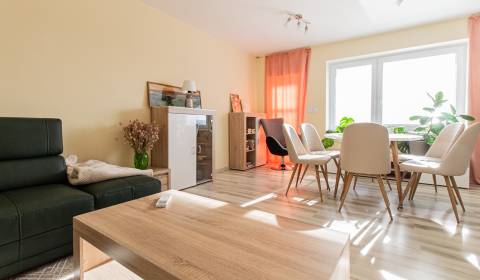 Kiadó Családi ház, Családi ház, Dlhé diely III, Bratislava - Karlova V