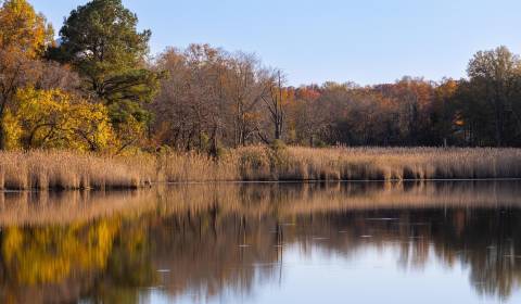 Eladó Építési telek, Építési telek, Hlavná, Vranov nad Topľou, Szlovák