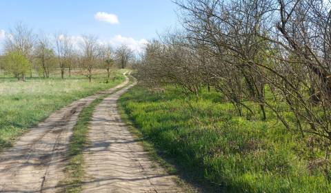 Eladó Építési telek, Építési telek, Lesná, Komárno, Szlovákia