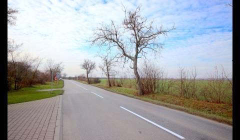 Eladó Mezőgazdasági és erdei telkek, Mezőgazdasági és erdei telkek, Se