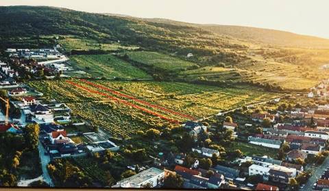 Eladó Építési telek, Építési telek, Drozdová, Bratislava - Rača, Szlov