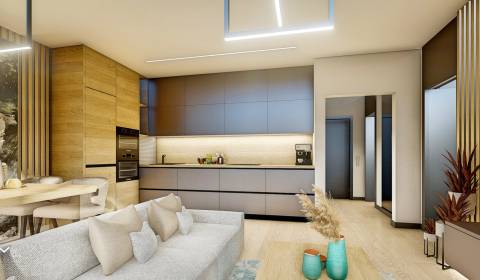 Eladó 2 szobás lakás, 2 szobás lakás, Dohňany, Púchov, Szlovákia