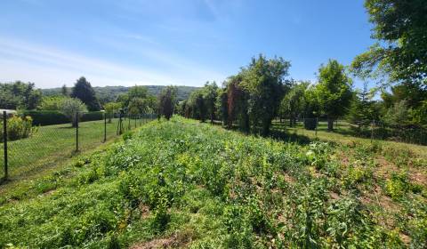 Eladó Építési telek, Építési telek, Neusiedl am See, Ausztria