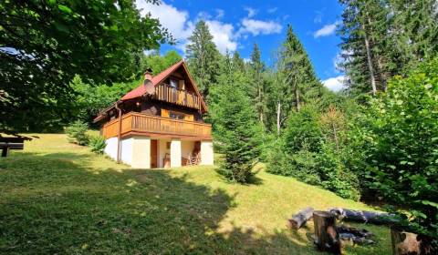 Eladó Nyaraló, Nyaraló, Tále, Brezno, Szlovákia