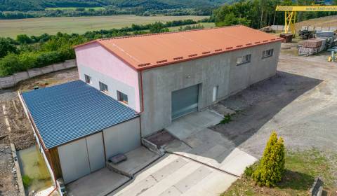 Kiadó Raktárak és ipari épületek, Raktárak és ipari épületek, Petrovan