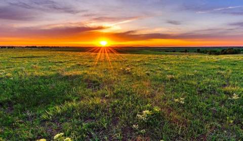 Eladó Mezőgazdasági és erdei telkek, Mezőgazdasági és erdei telkek, Sa