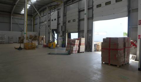 Kiadó Raktárak és ipari épületek, Raktárak és ipari épületek, Senec, S