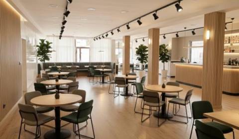 Kiadó Üzlethelység, Üzlethelység, Bottova, Žilina, Szlovákia