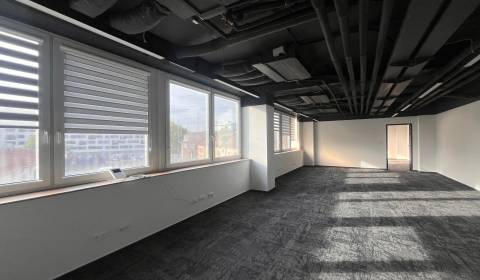 Kiadó Irodahelység, Irodahelység, Svätoplukova, Bratislava - Ružinov, 