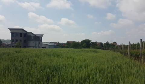 Eladó Építési telek, Építési telek, Veľké Lovce, Nové Zámky, Szlovákia