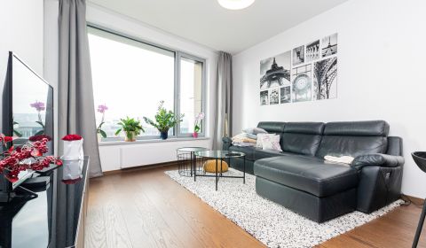 Kiadó 2 szobás lakás, 2 szobás lakás, Továrenská, Bratislava - Staré M