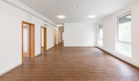 Kiadó Irodahelység, Irodahelység, Pluhová, Bratislava - Nové Mesto, Sz