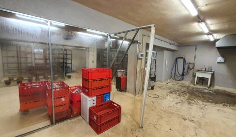 Eladó Ipari ingatlan, Ipari ingatlan, Veľký Krtíš, Szlovákia