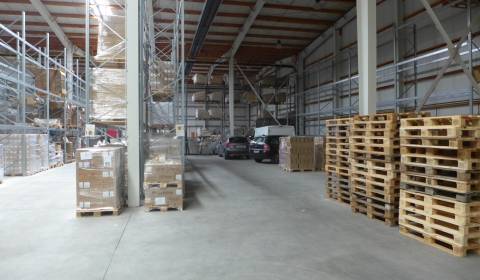 Kiadó Raktárak és ipari épületek, Raktárak és ipari épületek, Senec, S