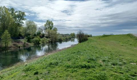 Eladó Kertek, Kertek, Pri pšeničnej bráne, Senec, Szlovákia