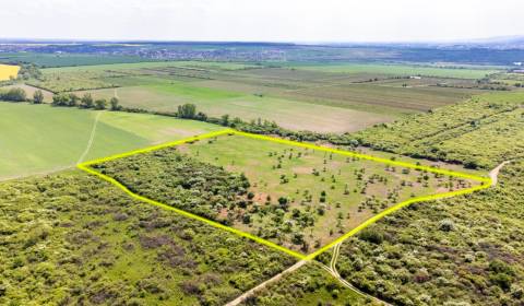 Eladó Építési telek, Építési telek, Dolná, Pezinok, Szlovákia