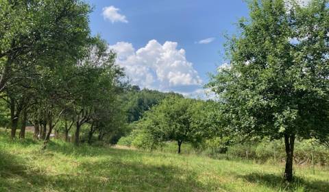 Eladó Üdülőtelkek, Üdülőtelkek, Púchov, Szlovákia