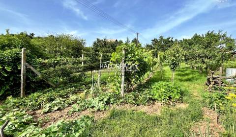 Eladó Üdülőtelkek, Levice, Szlovákia