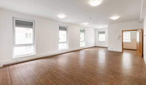 Kiadó Családi ház, Családi ház, Pluhová, Bratislava - Nové Mesto, Szlo