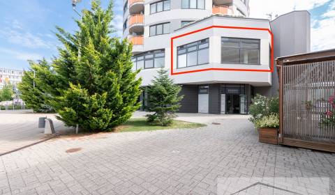 Kiadó Irodahelység, Irodahelység, Mierové námestie, Galanta, Szlovákia