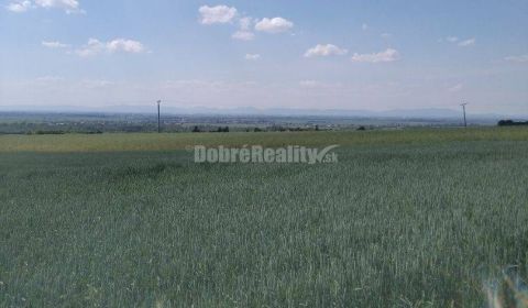Eladó Mezőgazdasági és erdei telkek, Mezőgazdasági és erdei telkek, Ga