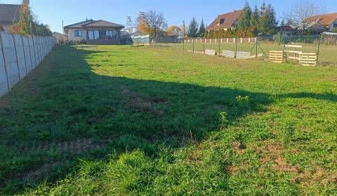 Eladó Építési telek, Építési telek, Veľké Bedzany, Topoľčany, Szlováki