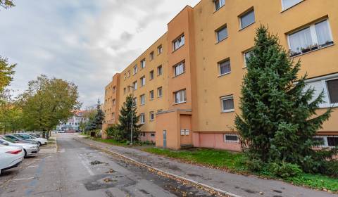 Eladó 4 szobás lakás, 4 szobás lakás, Radničné nám., Dunajská Streda,