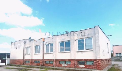 Eladó Irodahelység, Irodahelység, Galanta, Senec, Szlovákia