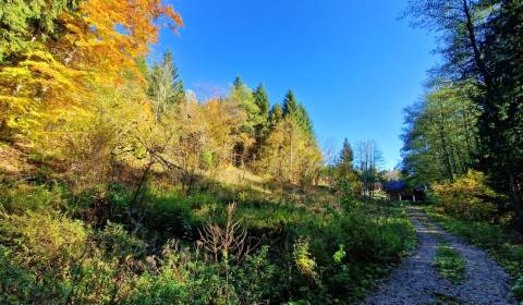Eladó Üdülőtelkek, Üdülőtelkek, Krpáčovo, Brezno, Szlovákia