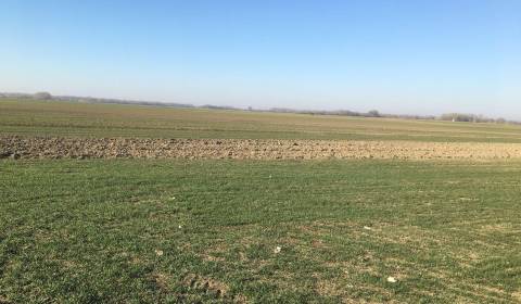 Eladó Mezőgazdasági és erdei telkek, Mezőgazdasági és erdei telkek, Ga