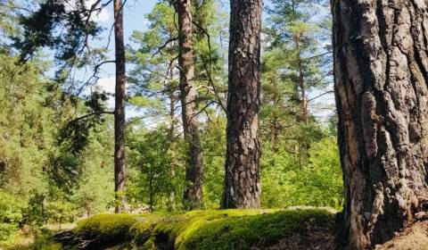 Eladó Mezőgazdasági és erdei telkek, Mezőgazdasági és erdei telkek, Pú