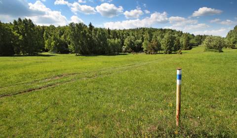 Eladó Mezőgazdasági és erdei telkek, Mezőgazdasági és erdei telkek, Ko