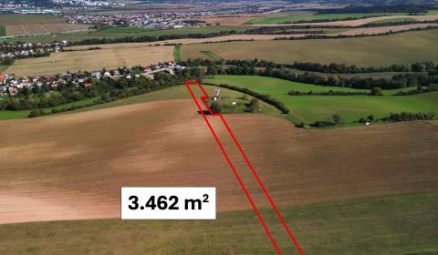 Eladó Mezőgazdasági és erdei telkek, Mezőgazdasági és erdei telkek, Tr