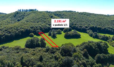 Eladó Mezőgazdasági és erdei telkek, Mezőgazdasági és erdei telkek, Tr