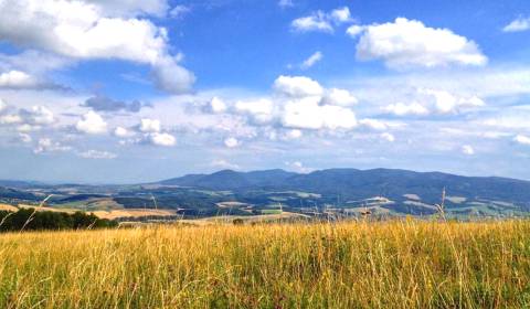 Eladó Mezőgazdasági és erdei telkek, Mezőgazdasági és erdei telkek, Pr