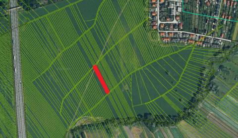 Eladó Mezőgazdasági és erdei telkek, Mezőgazdasági és erdei telkek, Ma