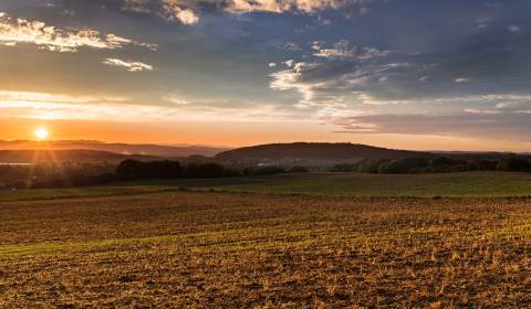 Eladó Mezőgazdasági és erdei telkek, Mezőgazdasági és erdei telkek, Tr