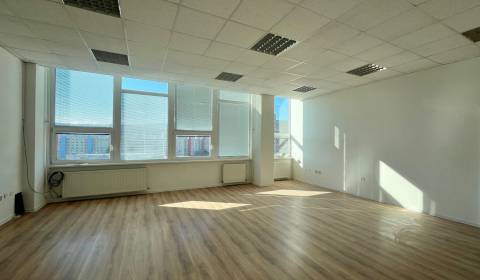 Kiadó Irodahelység, Irodahelység, Drobného, Bratislava - Dúbravka, Szl