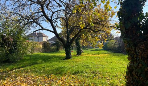 Eladó Családi ház, Családi ház, Okružná, Senec, Szlovákia