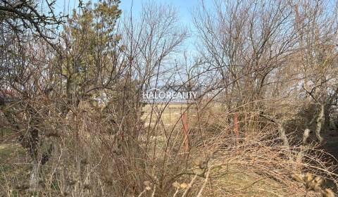 Eladó Építési telek, Nové Zámky, Szlovákia