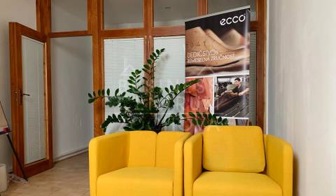 Kiadó Irodahelység, Irodahelység, Zochova, Bratislava - Staré Mesto, S